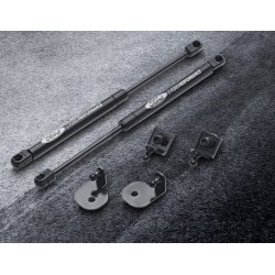 Dmpere til motorhjelm, st med laserprget Ford Performance logo.