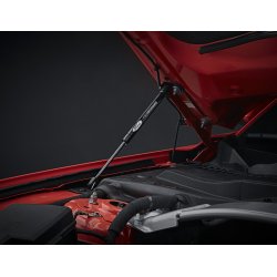 Dmpere til motorhjelm, st med laserprget Ford Performance logo.