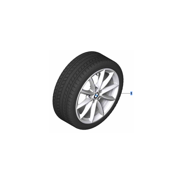 Vinterhjulst 17" style 560 225/55R17