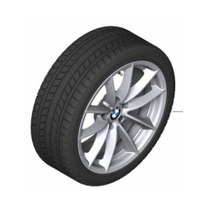 Vinterhjulst Style 618 225/55R17