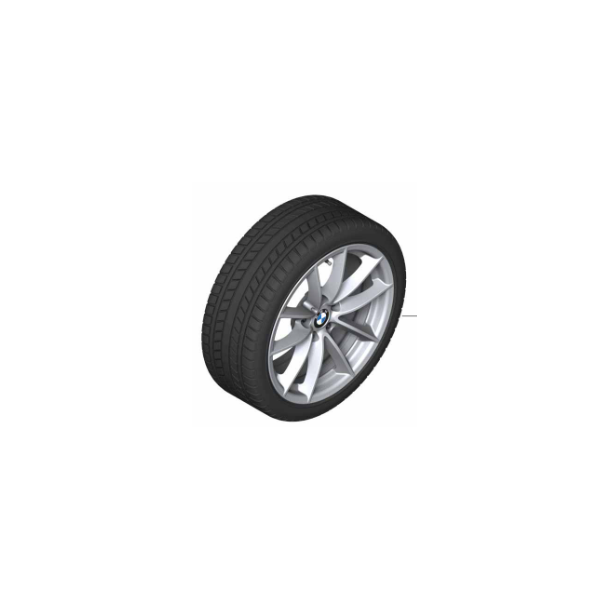 Vinterhjulst Style 618 225/55R17