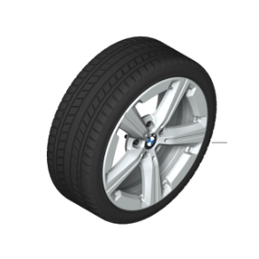 BMW Vinterhjulst Style 875 17