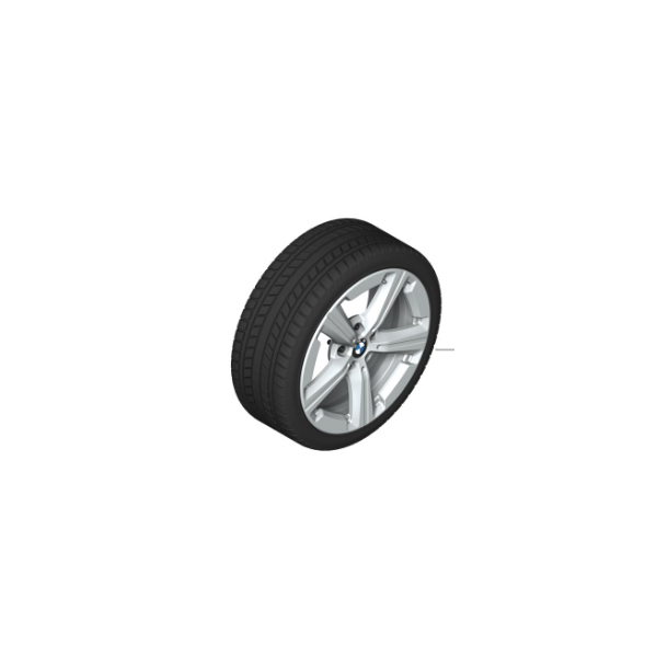 BMW Vinterhjulst Style 875 17"