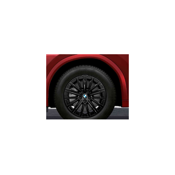 BMW Vinterhjulst Style 833 17" sort