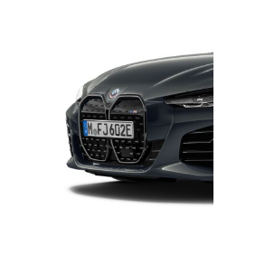 Frontgitter (Nyrer) sorte