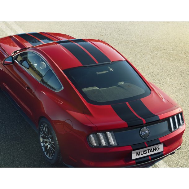 Racing Stripes blank-sort, ikke med hajfinne-antenne