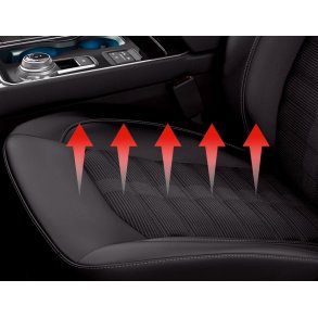 Sdevarmest til 1 sde