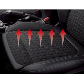 Xvision (SCC)* Sdevarmest til 1 sde