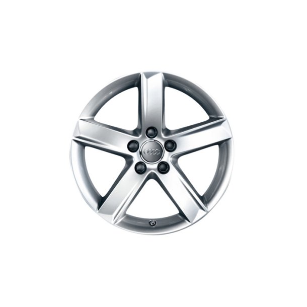  17" Audi 225/50R17  Michelin Alpin 6 