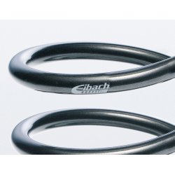 Snkningsst sport-fjedre 20/20mm, 5.0L V8 med MagneRide affjedring, belastning op til 1095/1148kg