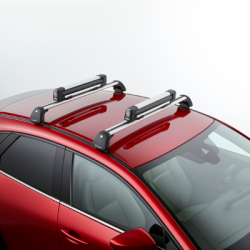 Fastspndingsst kort til tagbagagebrer til 4 Ski eller 2 Snowboard