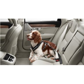 Hundesele til bagsdet, findes iflere strelser