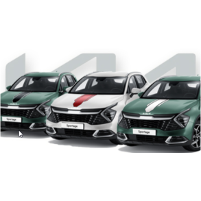 Body decals racing stripes