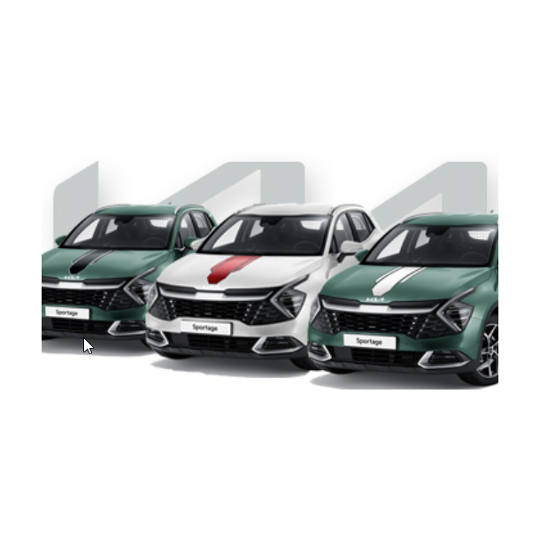 Body decals racing stripes