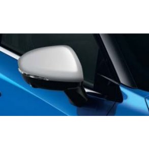 Sidespejlskapper, Silver