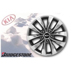 Kpl. Vinterhjul - Alu - Bridgestone 17