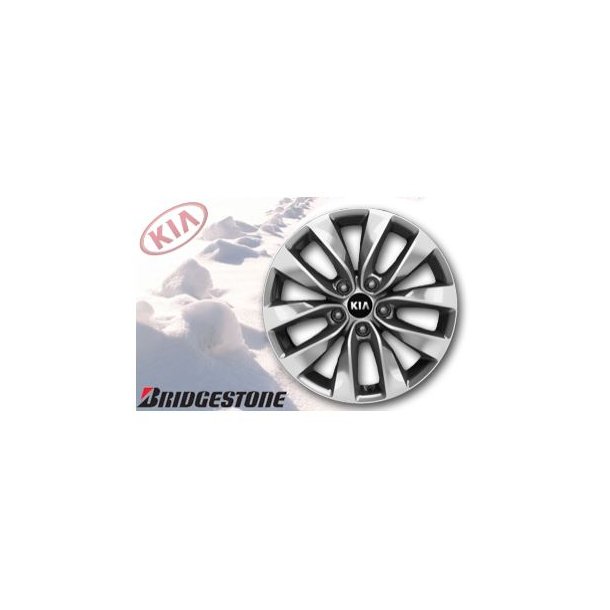 Kpl. Vinterhjul - Alu - Bridgestone 17"