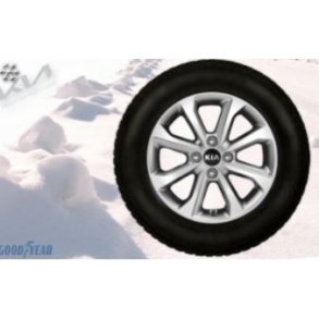 Kpl. Vinterhjul - Alu - Goodyear 15
