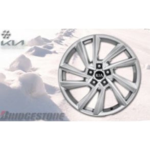 Kpl. Vinterhjul - Alu - Bridgestone 19
