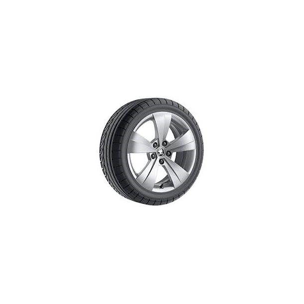 17" Skoda vinterhjul..