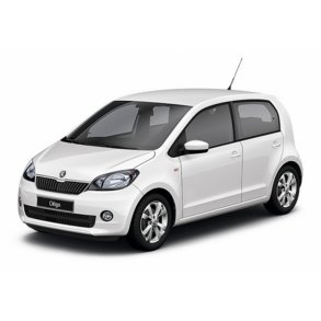 Citigo 2011-